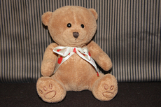 Teddy 024.jpg